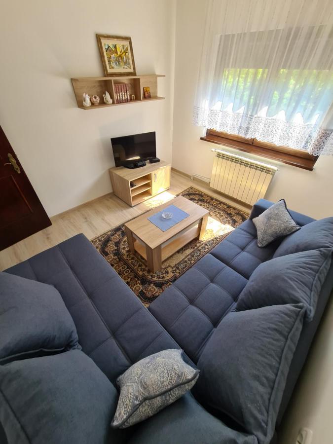 Apartmán In Pavlovic Banja Koviljača Exteriér fotografie